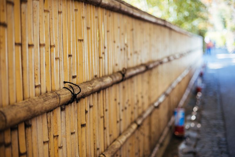 Eco-Friendly Bamboo Fence
