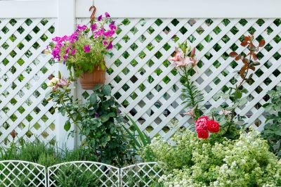 Pvc Lattice Fence Installation in Wilmington, NC